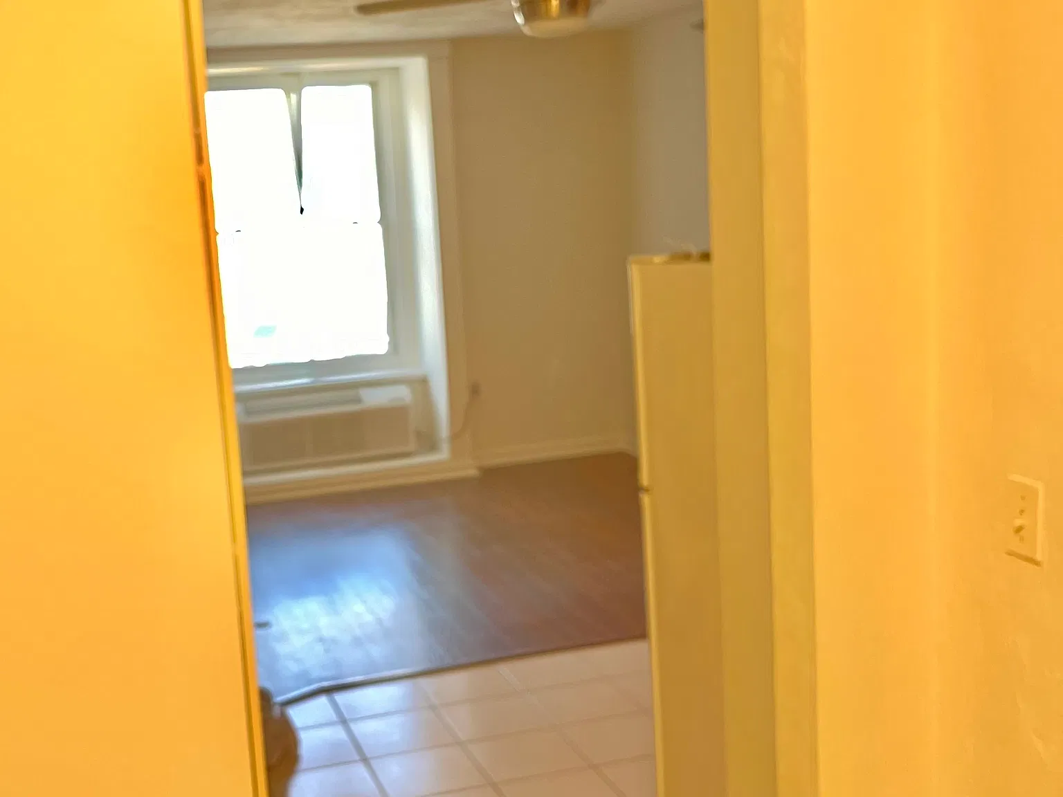 Studio, 312 sqft, $1,150 — Photo 3