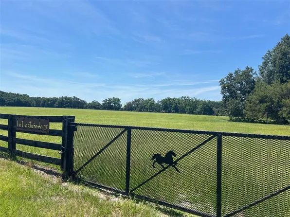 LOT 11 NW 165th Ave Lot 11, High Springs, FL 32643