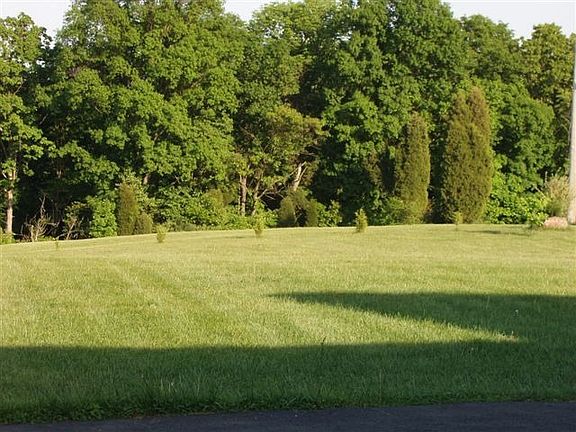 back yard view