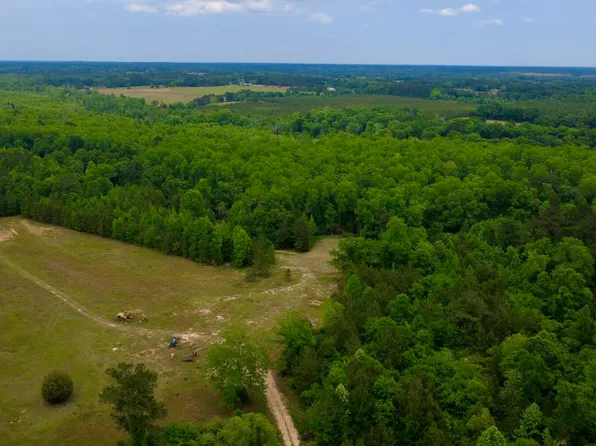 0 Fowler Rd, Ashford, AL 36312