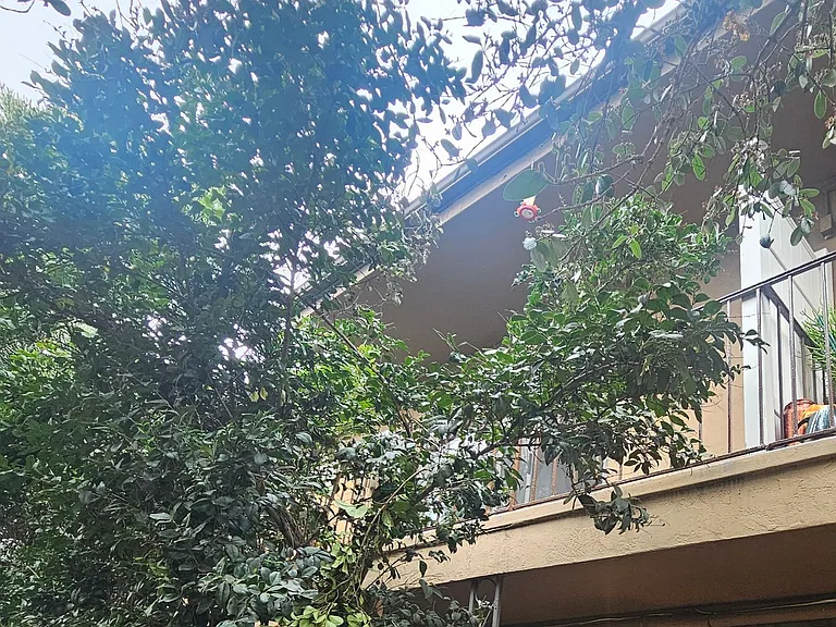Grossmont Terrace Apartments — Photo 1