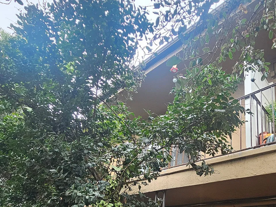 Grossmont Terrace Apartments