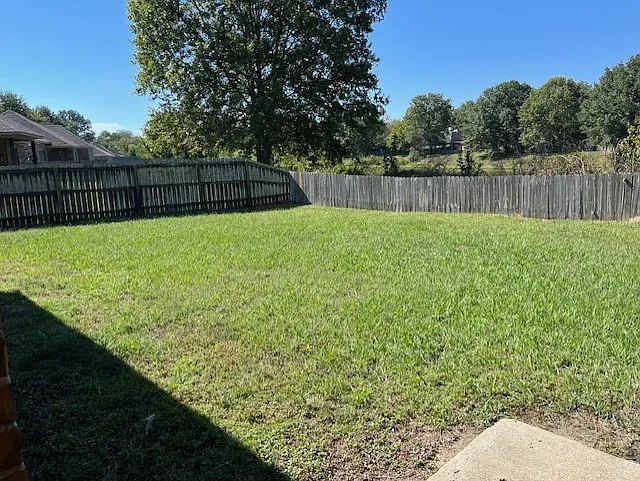 Back yard