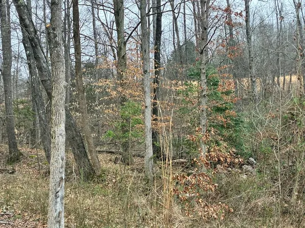 0 Copper Springs Rd, Springville, TN 38256