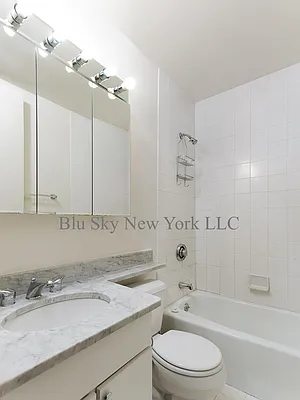Rented by Blu Sky New York LLC | media 18