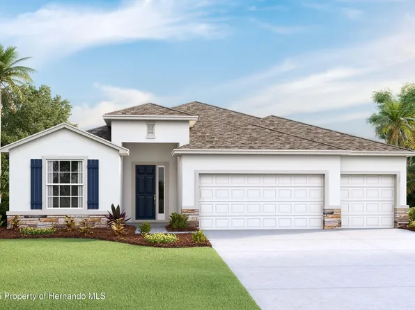 11309 Curio Dr, Brooksville, FL 34613