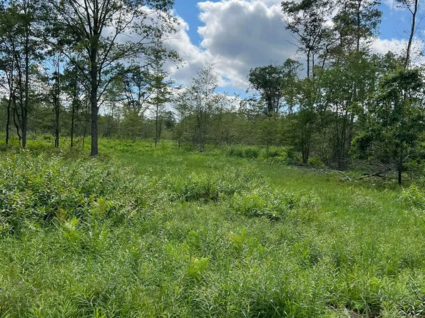 657 E Taylor Track Rd, Lincoln, MI 48742