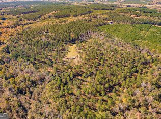 0 Highway 26, Elko, GA 31025