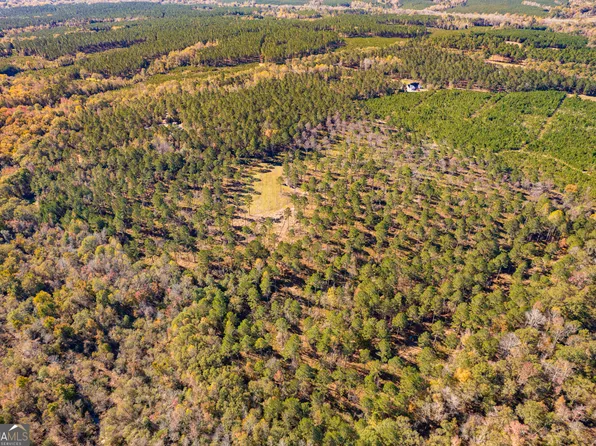 0 Highway 26, Elko, GA 31025