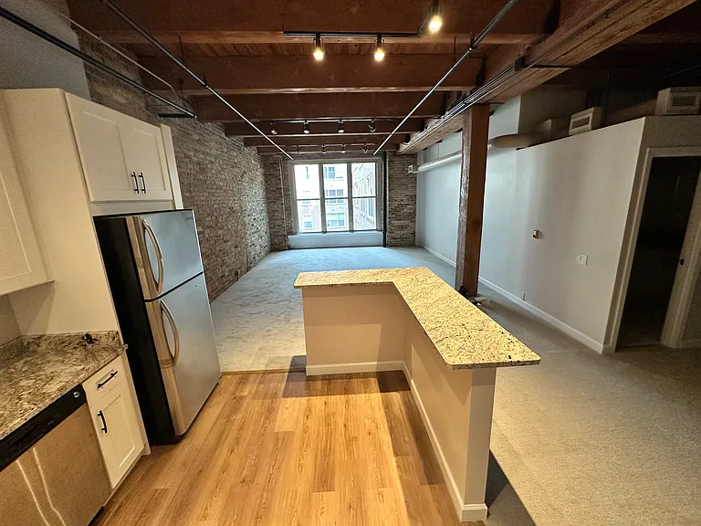 540 N Lake Shore Dr #518 — Photo 3