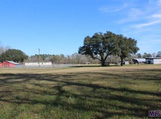 28965 James Chapel Rd N, Holden, LA 70744