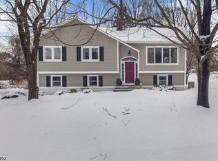 20 Mile Dr, Chester, NJ 07930