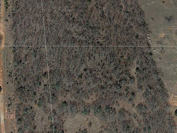 5th image of 27 White Oak