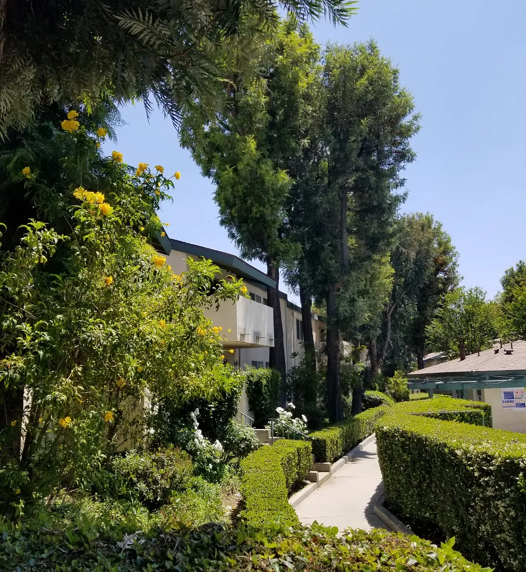 3 bed, 1071 sqft, $3,100 — Photo 1
