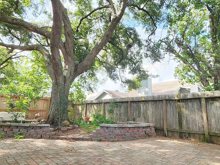 Beautiful tree with brick paving. Perfect for landscaping