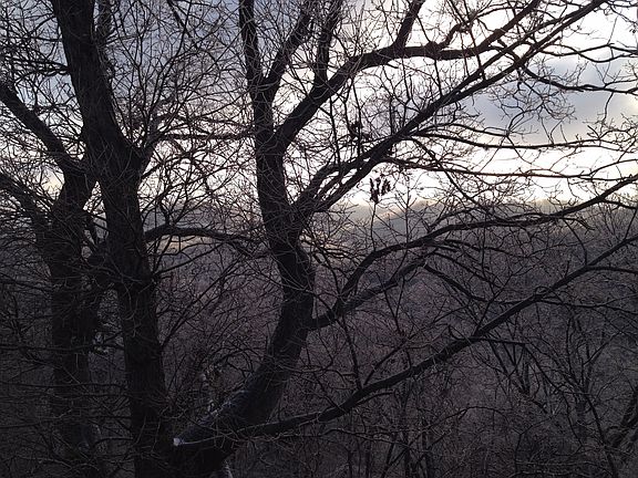 2nd image of 729 Harpeth Trace Dr