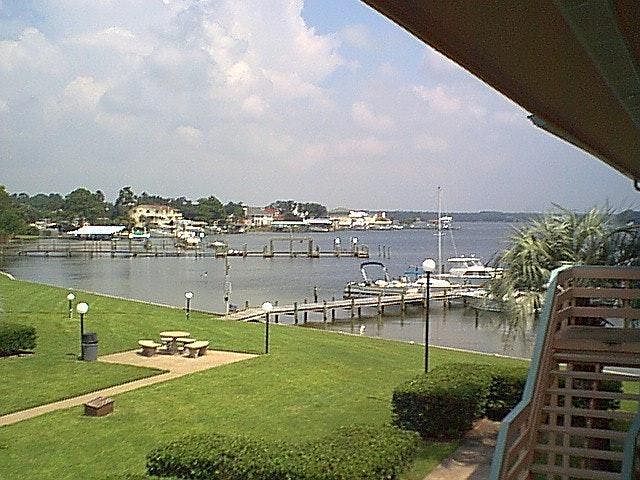 View of the Bayou
