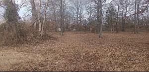 2nd image of County Road 2241