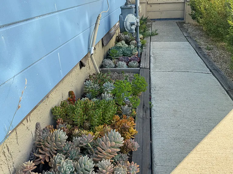 14 Cypress Ct — Photo 22