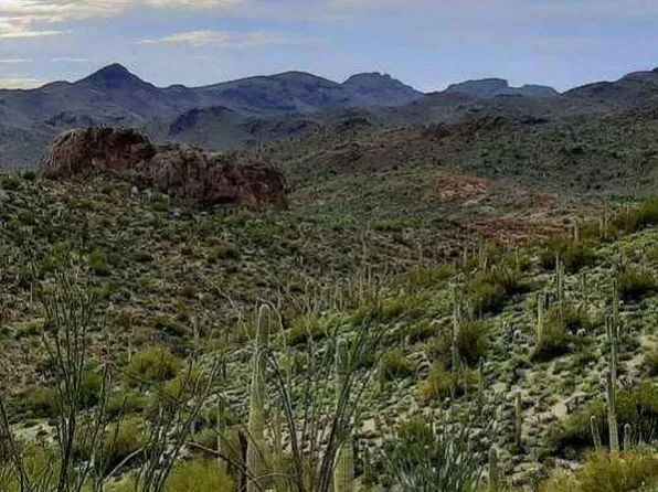 004K E Hardt Tank Road #004K, Queen Valley, AZ 85118
