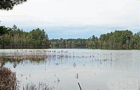 3rd image of 6139 Blueberry Ln