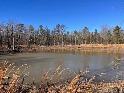 Monahan Rd, Mountain View, AR, 72560