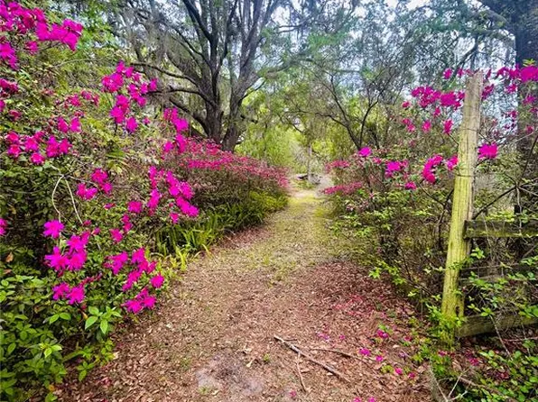 8065 NW 131st Street Rd, Reddick, FL 32686