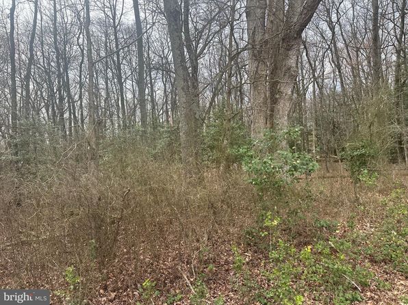 0 Cool Spring Rd, Marydel, MD 21649