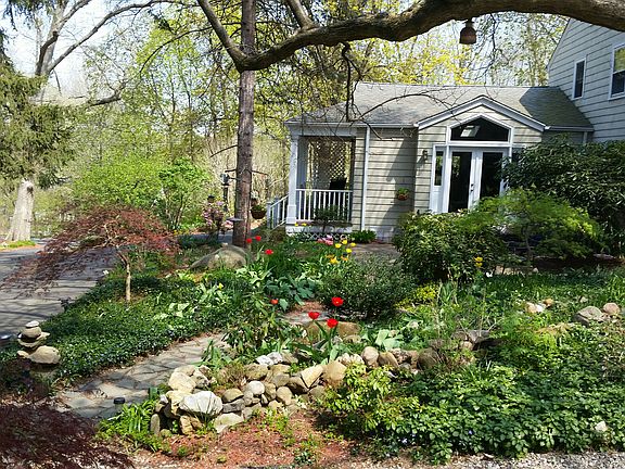 Flower garden  back of house