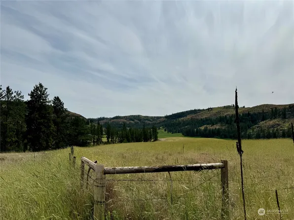 0 Tri Canyon Ranch Tract 55, Creston, WA 99117