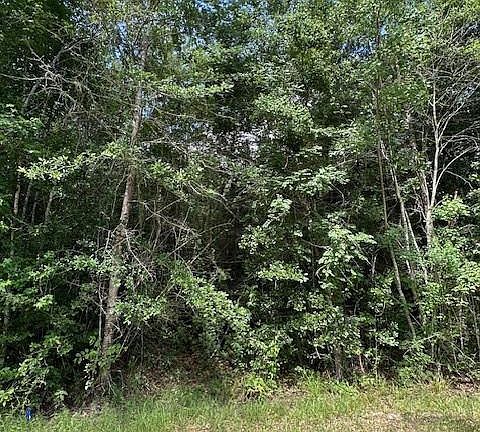 4th image of 6 County Road 2223 #B