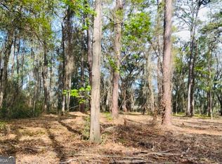 0 W Black Island Rd SE, Darien, GA 31305