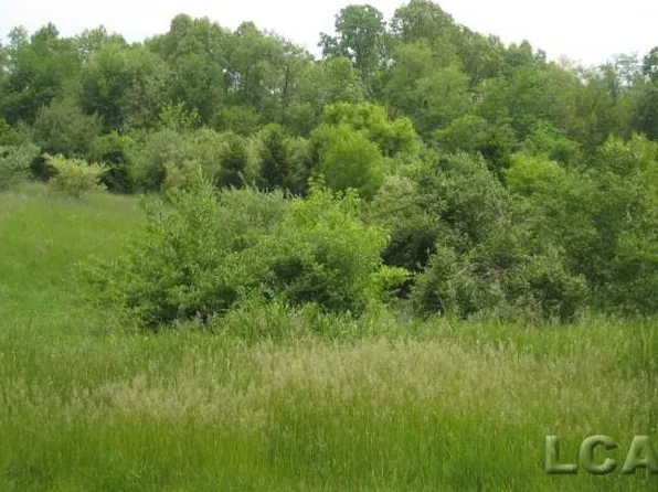 7205 Hickory Ln, Onsted, MI 49265