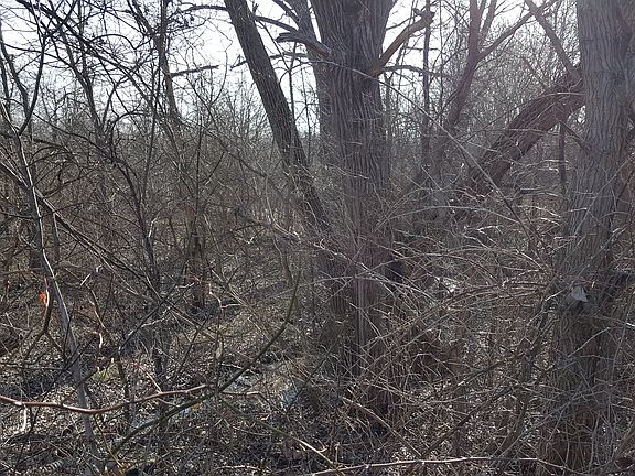 3rd image of 00 Hartsville Pike