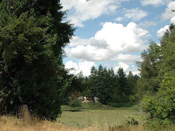 5th image of 20215 101st St E