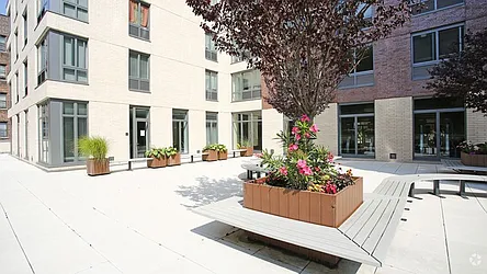 Rented by MODA Upgraded Living