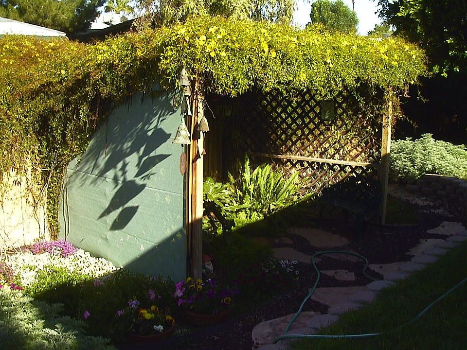 backyard feature with fountain