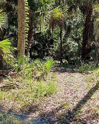 3rd image of 9302 W TALL PINES COURT LOT 4