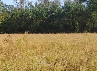 15 Howards Ln TRACT 15, Hampstead, NC 28443