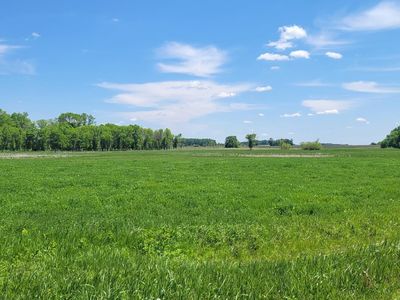 455th Ave, Arlington, MN, 55307