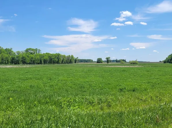 455th Ave, Arlington, MN 55307