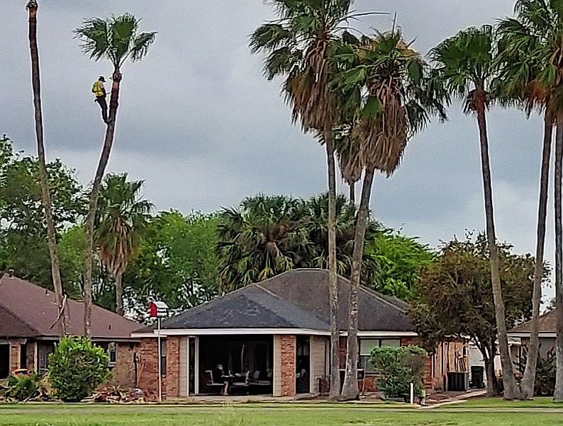 1st image of 303 Diana Dr
