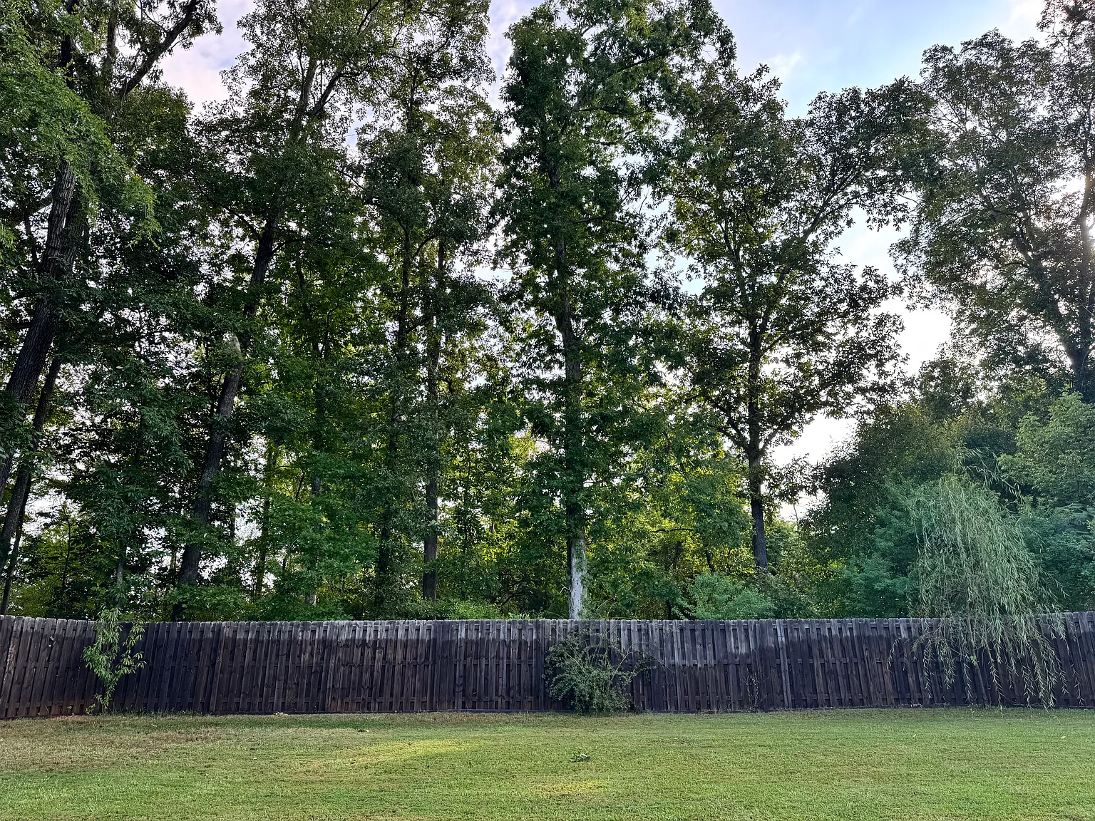 5 bed, 3282 sqft, $3,150 — Photo 3