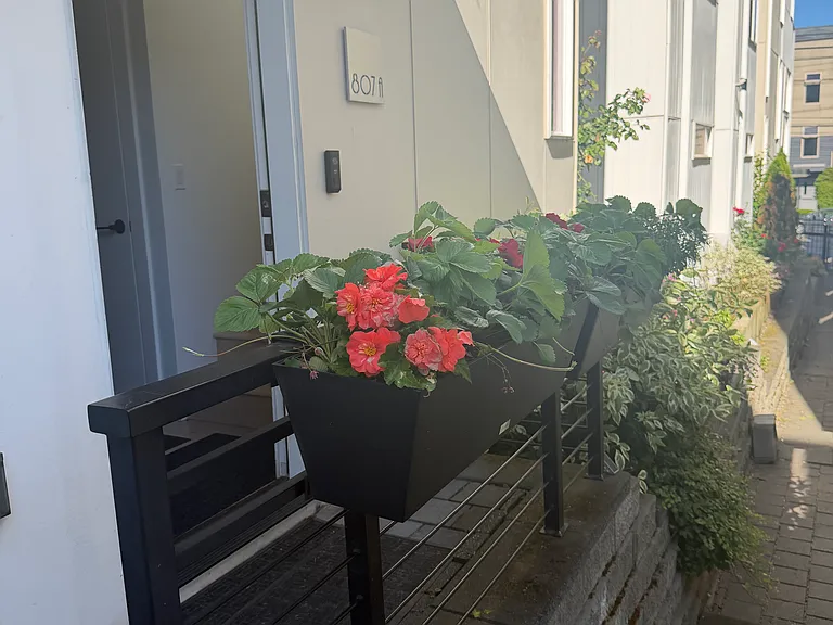 Outside door