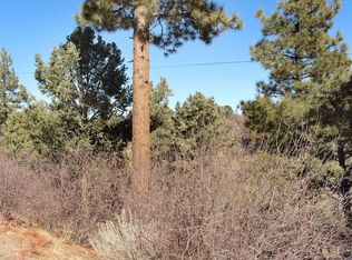 564 S Marlowe Dr, Big Bear City, CA 92314