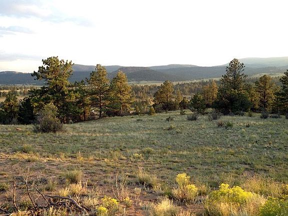 Meadow w/Mountain Views