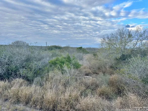 LOT 19 Lakeview Trace, Three Rivers 78071