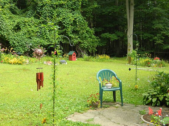 Summer view 