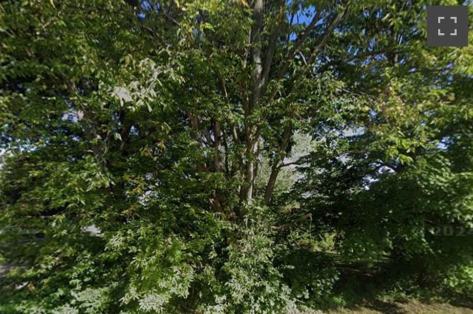 2nd image of 16017 Lawrence Ave