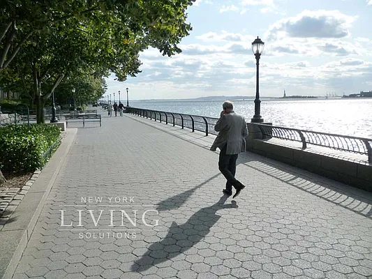 Rented by NY Living Solutions | media 13